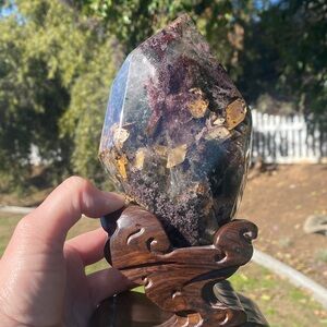 Rare, 5 seasons garden with mica pumpkin seeds